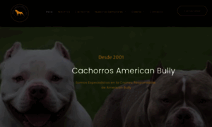 Americanbully.mx thumbnail