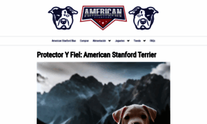 Americanstanford.com thumbnail