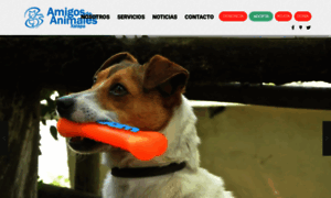 Amigosac.org thumbnail