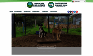 Amigosdelplaneta.com thumbnail