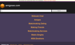 Amigoseo.com thumbnail