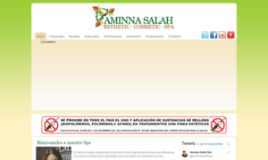 Aminnasalahspa.com thumbnail