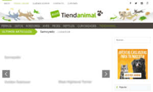 Amordemascota.com thumbnail