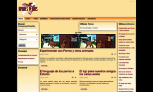 Amores-perros.com thumbnail