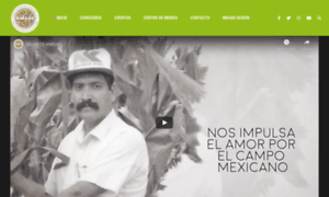 Amsac.org.mx thumbnail