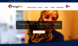 Anagavets.es thumbnail