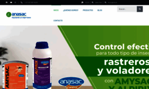 Anasac-casayjardin.co thumbnail