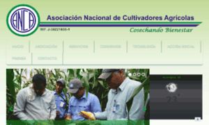 Anca.org.ve thumbnail