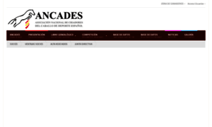 Ancades.com thumbnail