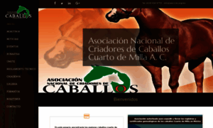 Ancccm.org.mx thumbnail