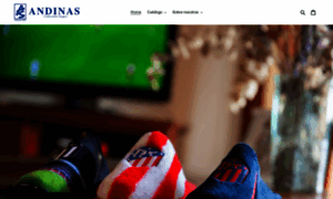 Andinas.es thumbnail