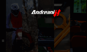 Andreanigroup.com thumbnail