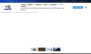 Anfec.org.mx thumbnail