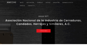 Anicchs.org.mx thumbnail