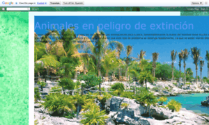 Animales--enpeligro.blogspot.com thumbnail