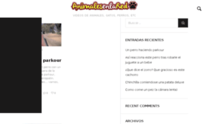 Animalesenlared.com thumbnail