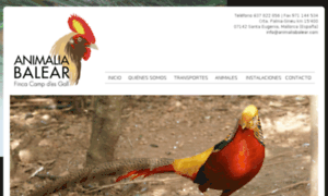 Animaliabalear.com thumbnail