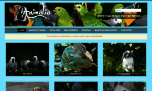 Animaliavigo.com thumbnail