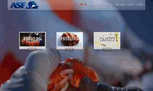 Antarticseafood.cl thumbnail