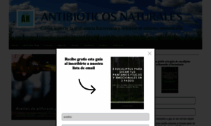 Antibioticosnaturales.com thumbnail
