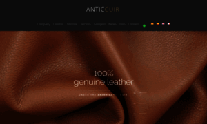 Anticcuir.com thumbnail