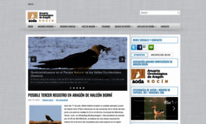 Anuariorocin.blogspot.com thumbnail