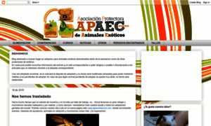 Apaecatalunya.blogspot.com thumbnail