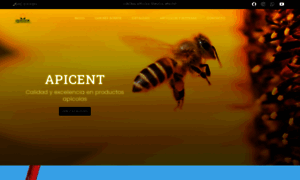 Apicent.cl thumbnail