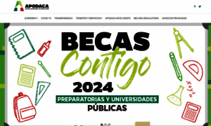 Apodaca.gob.mx thumbnail