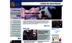 Apoyo.saludestudiantil.uc.cl thumbnail