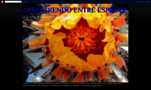 Aprendiendoentreespinas.blogspot.com thumbnail