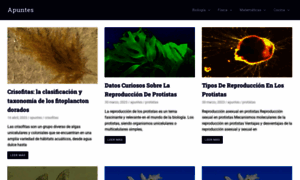 Apuntes.infonotas.com thumbnail