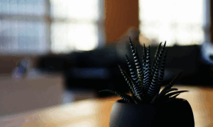 Apuzunga.com thumbnail