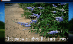 Arbustosensevilla-encinarosa.blogspot.com thumbnail