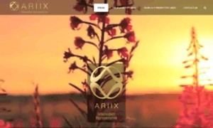 Ariixinternacional.com thumbnail
