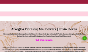 Arreglosflorales.info thumbnail