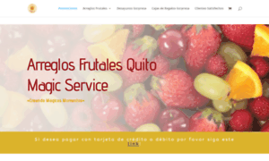 Arreglosfrutalesquito-magicservice.com thumbnail