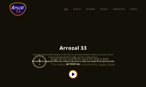 Arrozal33.com.uy thumbnail