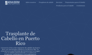 Artaspuertorico.com thumbnail
