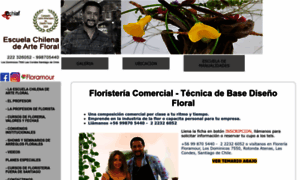 Artefloral.cl thumbnail