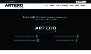 Arteroacademy.com thumbnail