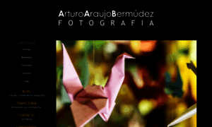 Arturoaraujobermudez.com thumbnail