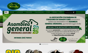 Asocebu.com thumbnail