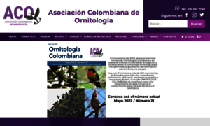 Asociacioncolombianadeornitologia.org thumbnail