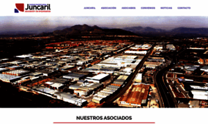 Asociacionjuncaril.es thumbnail