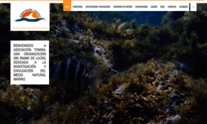 Asociaciontonina.com thumbnail