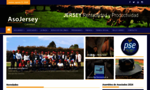 Asojersey.com thumbnail