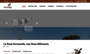 Asonormando.com thumbnail
