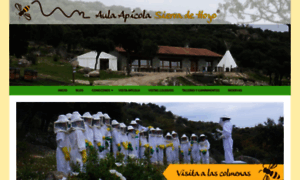Aulaapicolahoyo.com thumbnail