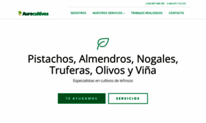 Aurecultivos.com thumbnail